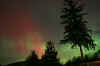 AuroraNovember7-820046Small.jpg (69347 bytes)