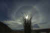 SolarHalo2.jpg (39172 bytes)