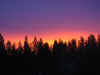 Sunrise 12.11.06.jpg (38535 bytes)